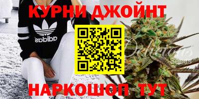 тгк Сланцы