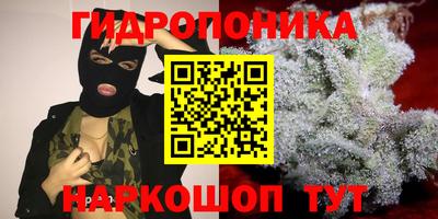 a pvp Славянск-на-Кубани