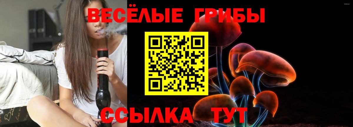 Псилоцибиновые грибы Cubensis Нижнеудинск